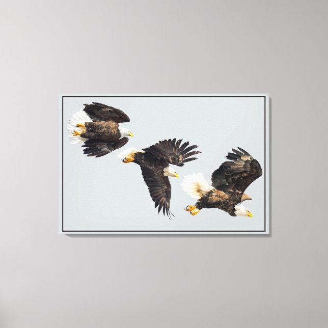 Bald Eagle Flight Canvas Print (Front)
