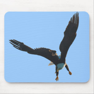 Bald Eagle Flight Collection Mouse Mat
