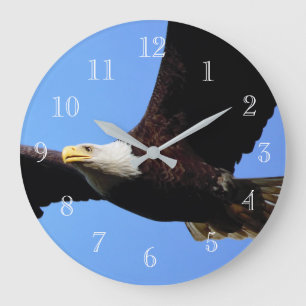 Bald Eagle Flight Large Clock
