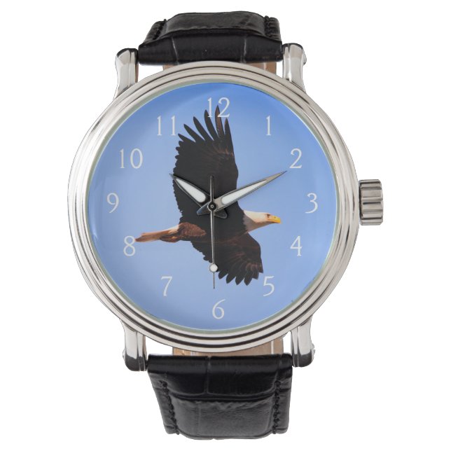 Bald Eagle Flight Watch (Front)