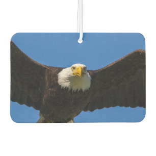 Bald Eagle Flyby Up Close Car Air Freshener