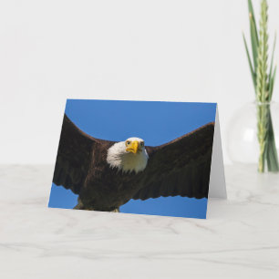 Bald Eagle Flyby Up Close Card