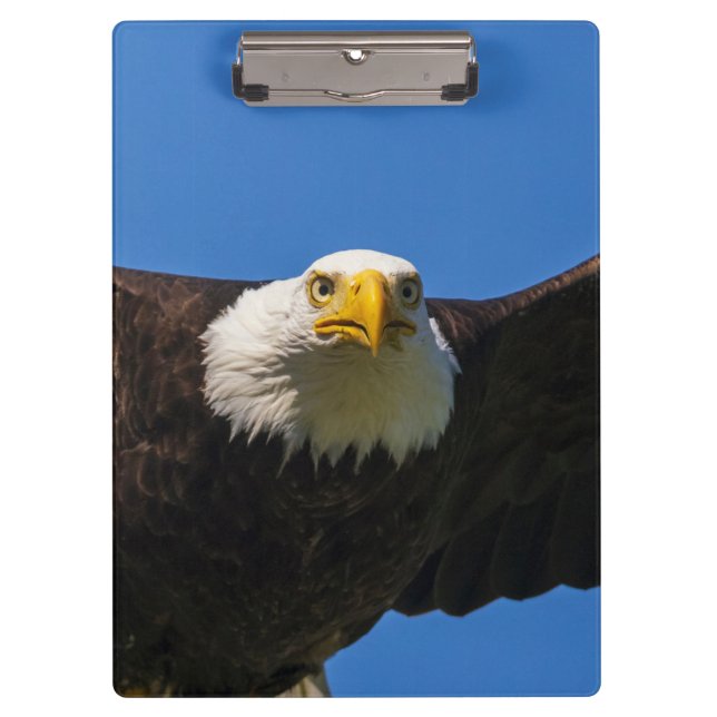 Bald Eagle Flyby Up Close Clipboard (Front)
