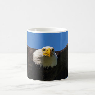 Bald Eagle Flyby Up Close Coffee Mug