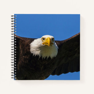 Bald Eagle Flyby Up Close Notebook