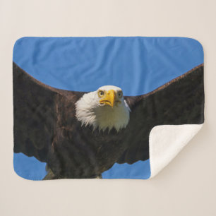 Bald Eagle Flyby Up Close Sherpa Blanket