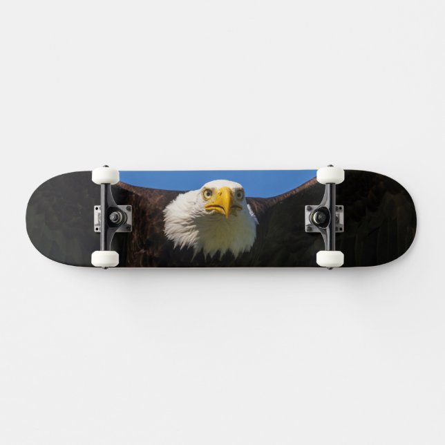 Bald Eagle Flyby Up Close Skateboard (Horz)