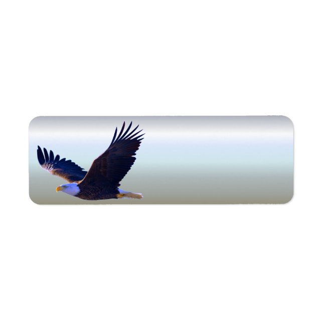 Bald Eagle Flying (Front)