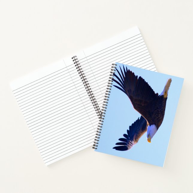 Bald Eagle Flying Notebook (Inside)