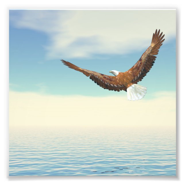 Bald eagle flying upon the ocean to the moon photo print (Front)