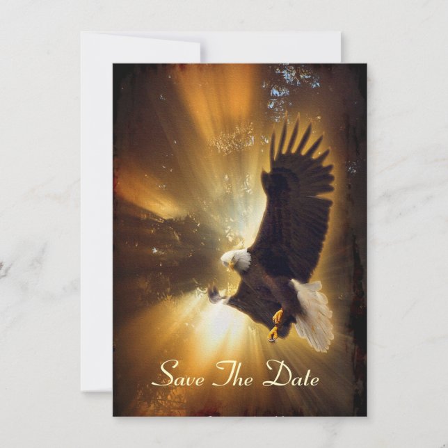 Bald Eagle & Forest Sunlight Invitation Cards (Front)