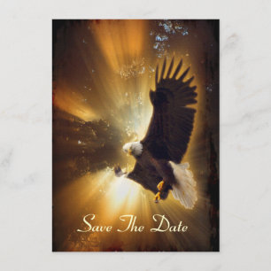 Bald Eagle & Forest Sunlight Invitation Cards