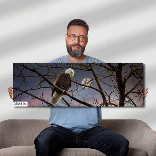 Bald Eagle Full Moon Wildlife Photography Canvas Print