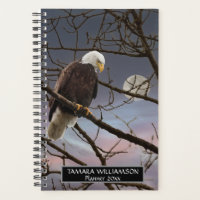 Bald Eagle Full Moon Wildlife Photography