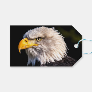 Bald Eagle Gift Tags
