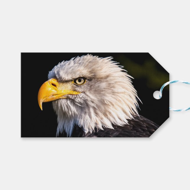 Bald Eagle Gift Tags (Front (Horizontal))