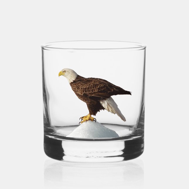 Bald Eagle glass (Front)