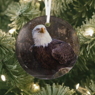Bald Eagle Glass Tree Decoration