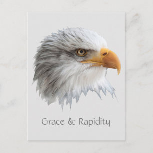 Bald Eagle Grace & Rapidity customisable Postcard