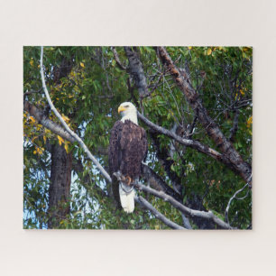 Bald Eagle Grand Teton National Park Wyoming.. Jigsaw Puzzle