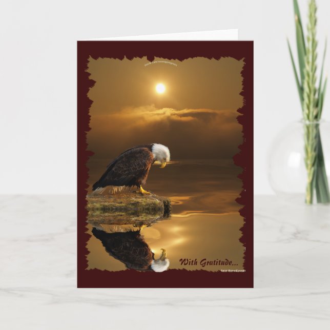 Bald Eagle Gratitude Greeting Card (Front)