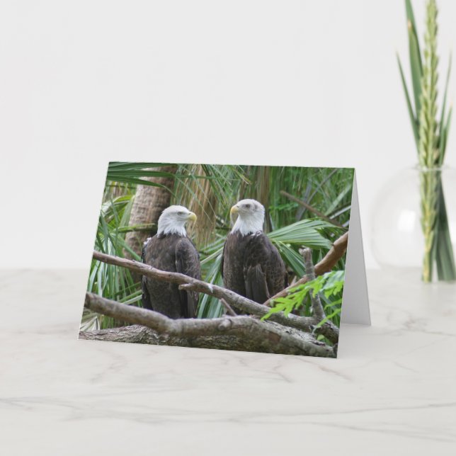 Bald Eagle Greeting Card (Front)
