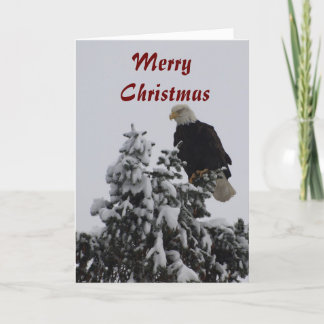 Bald Eagle Greeting Card