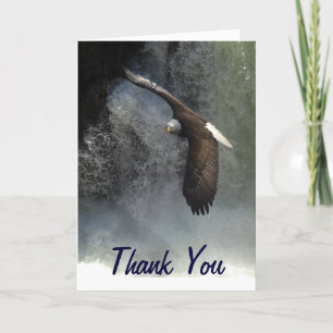 Bald Eagle Greeting Cards