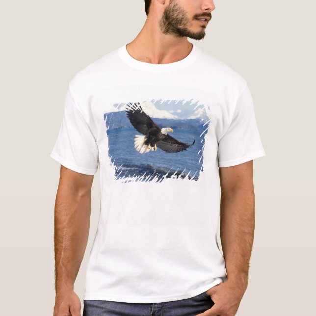 bald eagle, Haliaeetus leuccocephalus, in flight T-Shirt (Front)