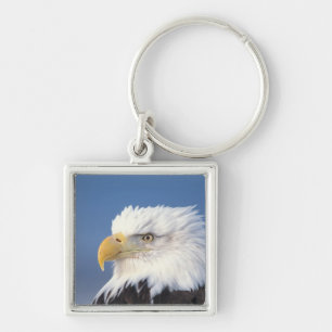 bald eagle, Haliaeetus leuccocephalus, Key Ring