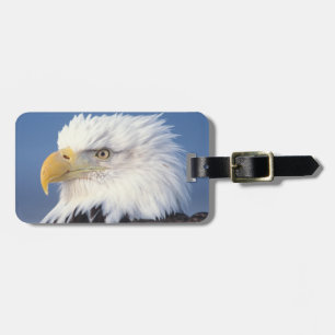 bald eagle, Haliaeetus leuccocephalus, Luggage Tag