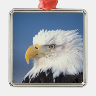 bald eagle, Haliaeetus leuccocephalus, Metal Tree Decoration