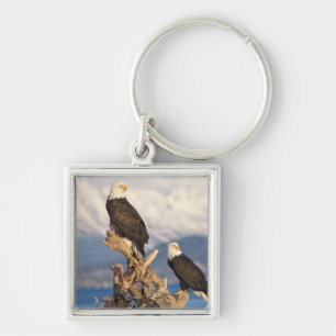 bald eagle, Haliaeetus leuccocephalus, pair Key Ring