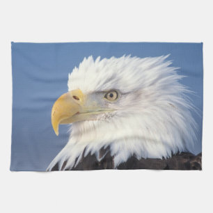 bald eagle, Haliaeetus leuccocephalus, Tea Towel