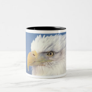 bald eagle, Haliaeetus leuccocephalus, Two-Tone Coffee Mug