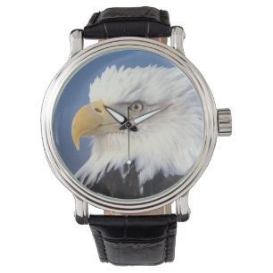bald eagle, Haliaeetus leuccocephalus, Watch