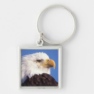 bald eagle, Haliaeetus leucocephalus, close up, 3 Key Ring