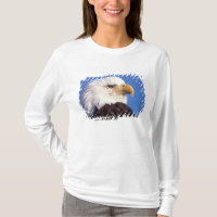 bald eagle, Haliaeetus leucocephalus, close up, 3