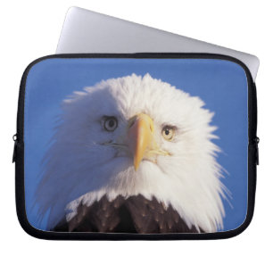 bald eagle, Haliaeetus leucocephalus, head shot, Laptop Sleeve