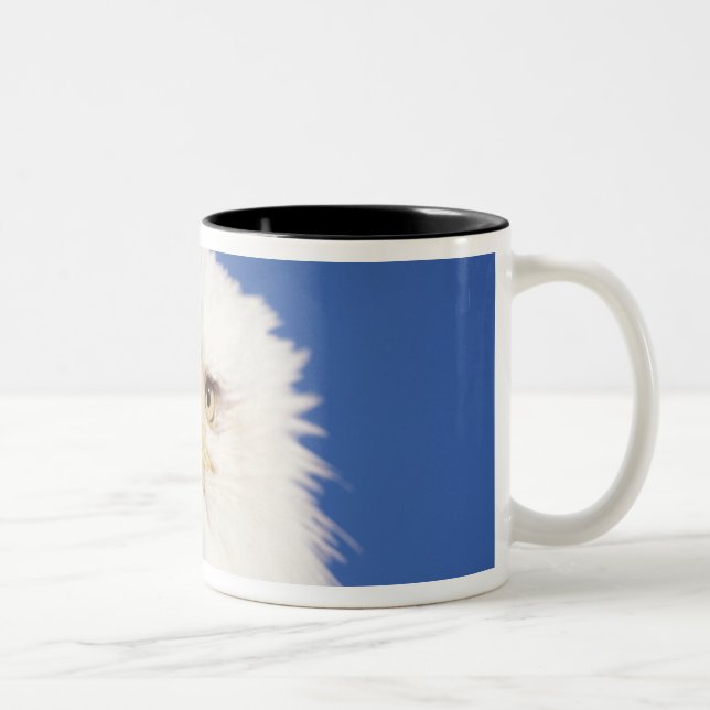 bald eagle, Haliaeetus leucocephalus, head shot, Two-Tone Coffee Mug (Right)