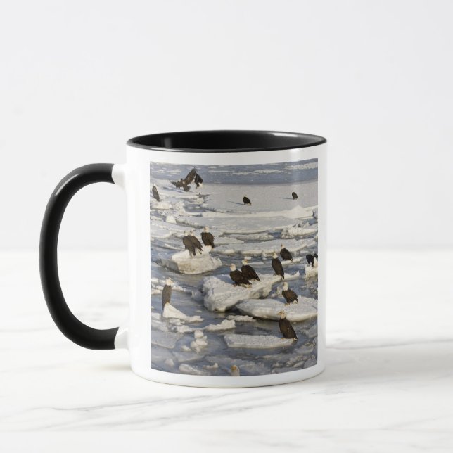 Bald Eagle, Haliaeetus leucocephalus, Homer, 2 Mug (Left)