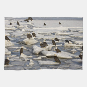 Bald Eagle, Haliaeetus leucocephalus, Homer, 2 Tea Towel