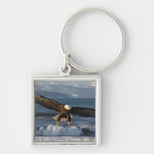 Bald Eagle, Haliaeetus leucocephalus, Homer, 3 Key Ring