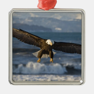 Bald Eagle, Haliaeetus leucocephalus, Homer, 3 Metal Tree Decoration