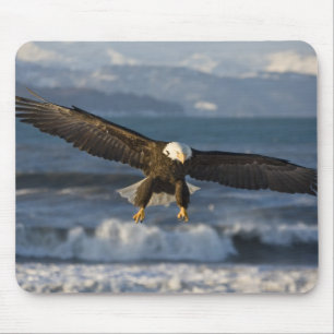 Bald Eagle, Haliaeetus leucocephalus, Homer, 3 Mouse Mat