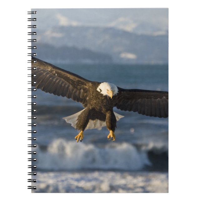 Bald Eagle, Haliaeetus leucocephalus, Homer, 3 Notebook (Front)