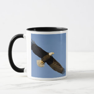 Bald Eagle, Haliaeetus leucocephalus, Homer, 4 Mug