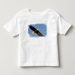 Bald Eagle, Haliaeetus leucocephalus, Homer, 4 Toddler T-Shirt
