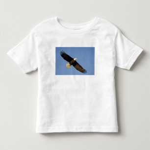 Bald Eagle, Haliaeetus leucocephalus, Homer, 4 Toddler T-Shirt