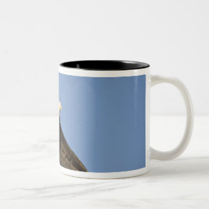Bald Eagle, Haliaeetus leucocephalus, Homer, 4 Two-Tone Coffee Mug